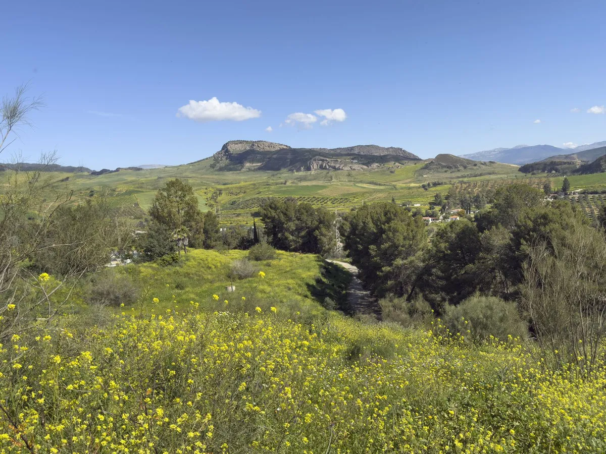 d2aee3a6-26f5-41c7-bc17-474362c0afa0