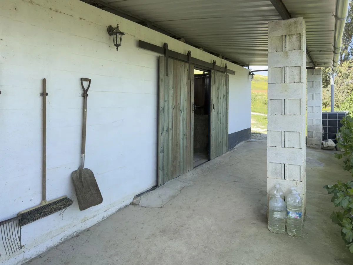 d36a3c45-f817-4bab-9b49-6ca5f0ab3936