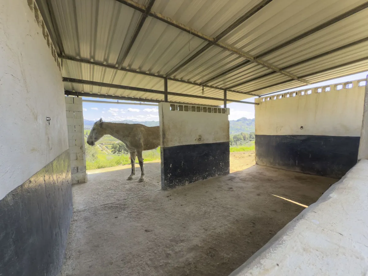 efdbea51-b317-45b4-9a53-b1b0bfef2efb