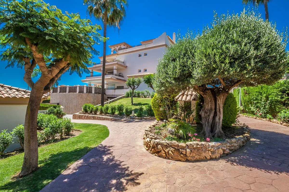 5a28ef14-0104-41ee-92d0-34a1f3c08157