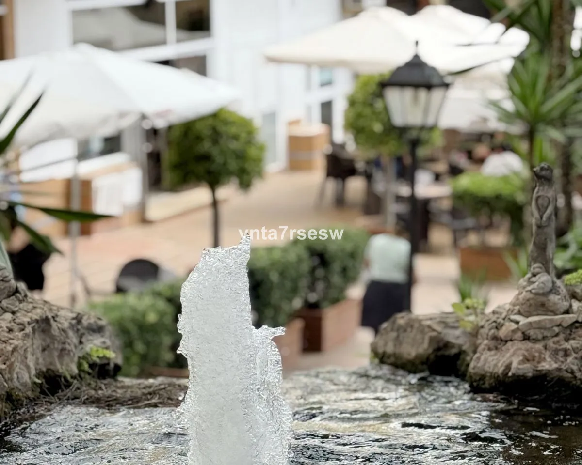 c6ca1dc1-97e3-46f7-996f-56817f3ad07e