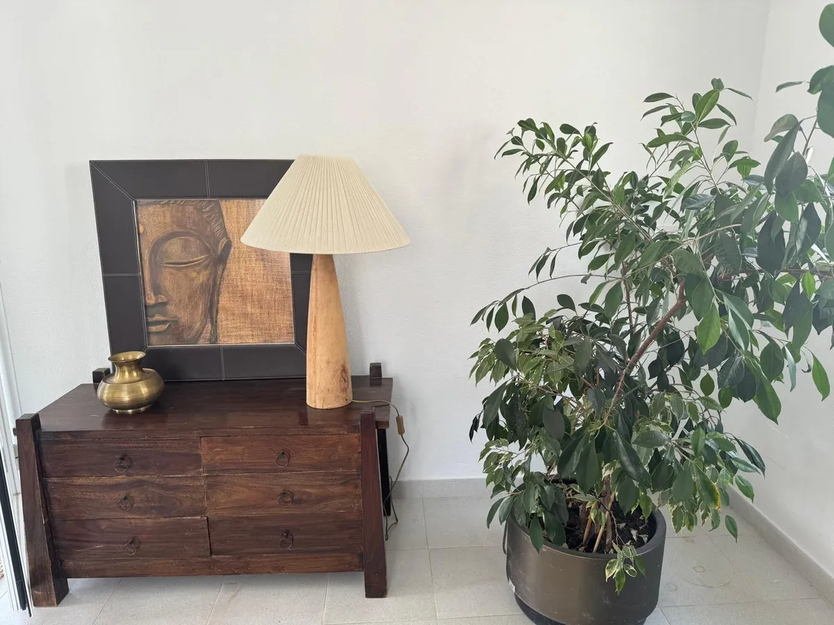 f4347aa8-8be0-4195-bc87-a822e7f9b729