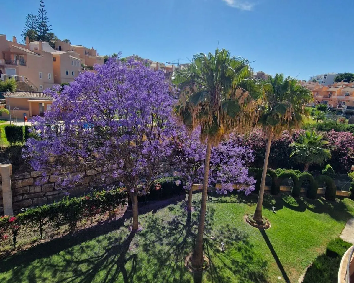 c51e6159-789e-4cb7-9dde-fff514539673