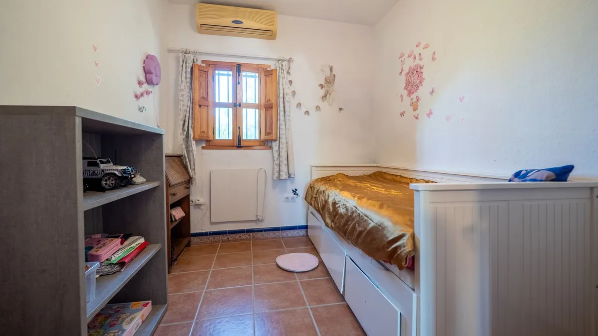 5433ccef-ec18-4d7d-9de7-9c79b8676941