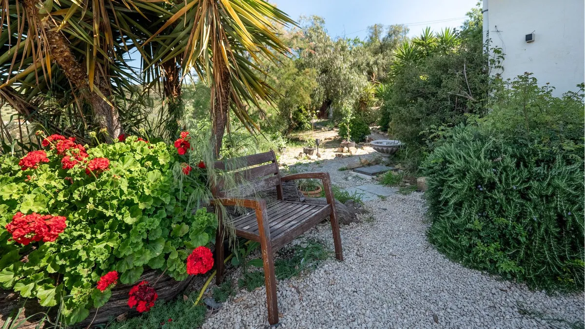 bee39b6a-6376-41b9-a940-3e2e818bfbc5