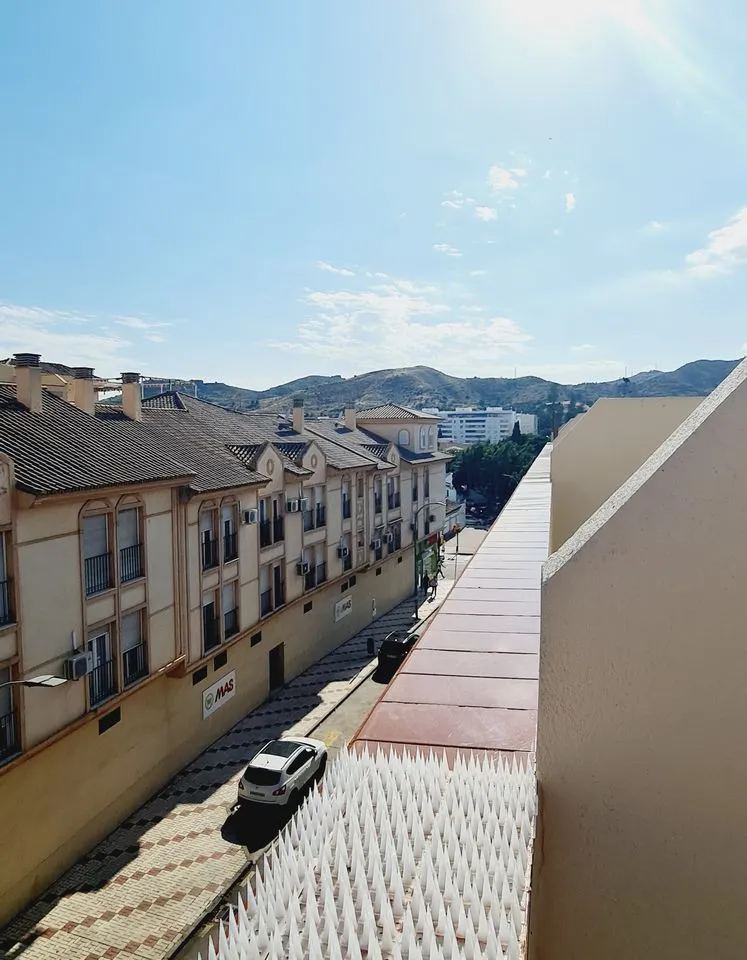 bc312c5b-738f-4fdd-87a7-1b5f2a031bdd