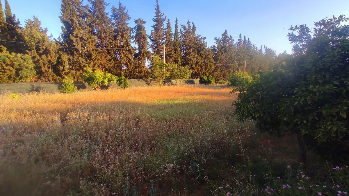 3f7113f9-cea5-4db8-b729-32509673142b