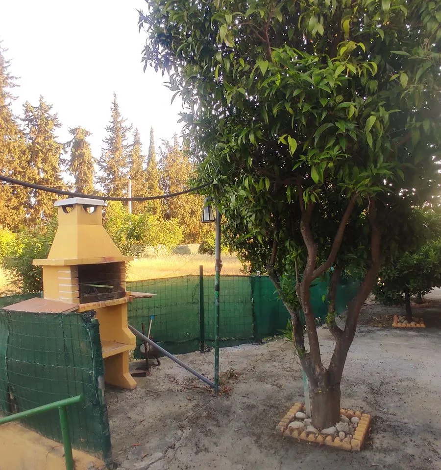 97433c7a-fcf6-4320-80bc-650f12e25fd3