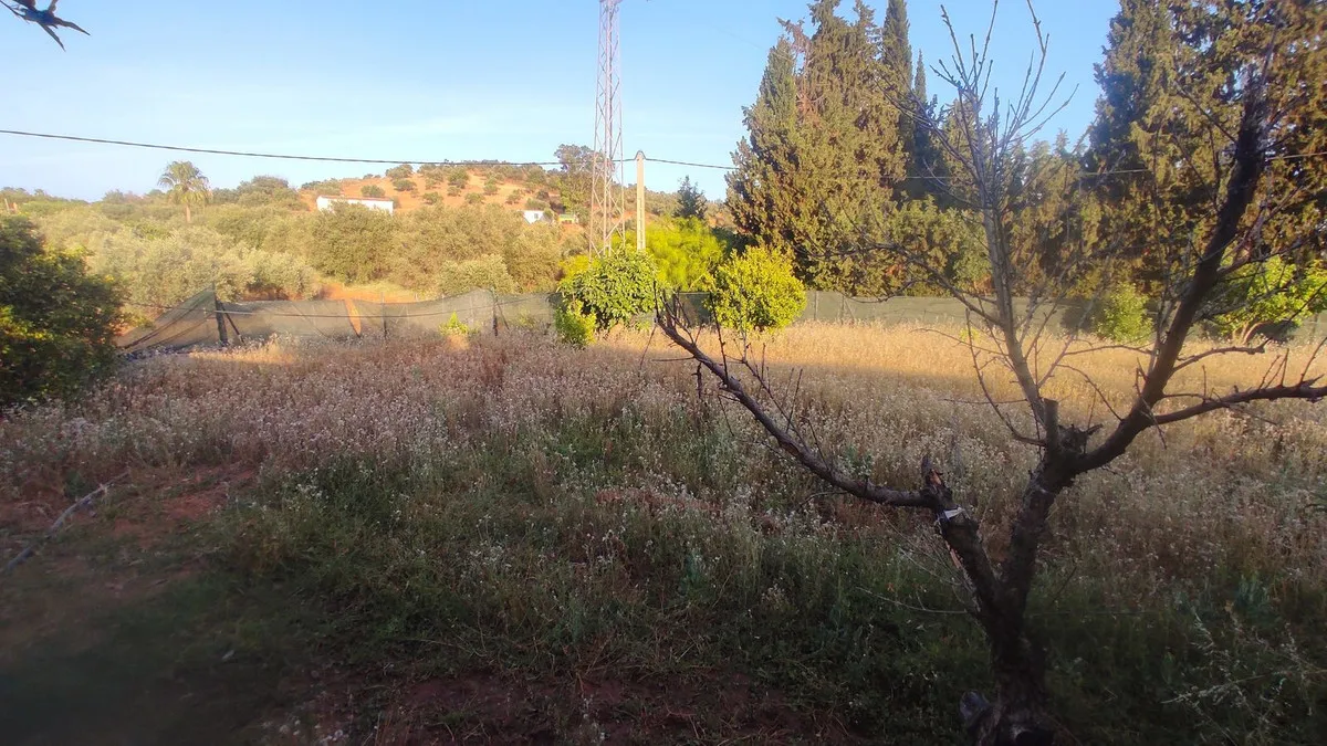 bf119aef-a646-47a6-85e7-05bc3367c627