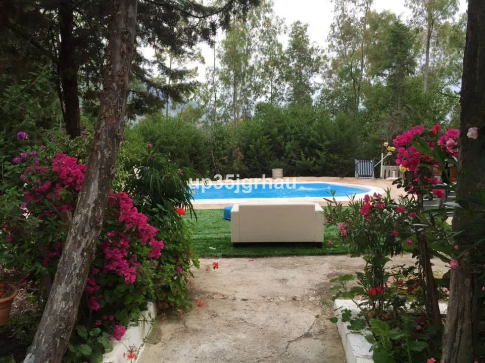 4ff1dfae-c3f0-4476-8606-bba832d4769b