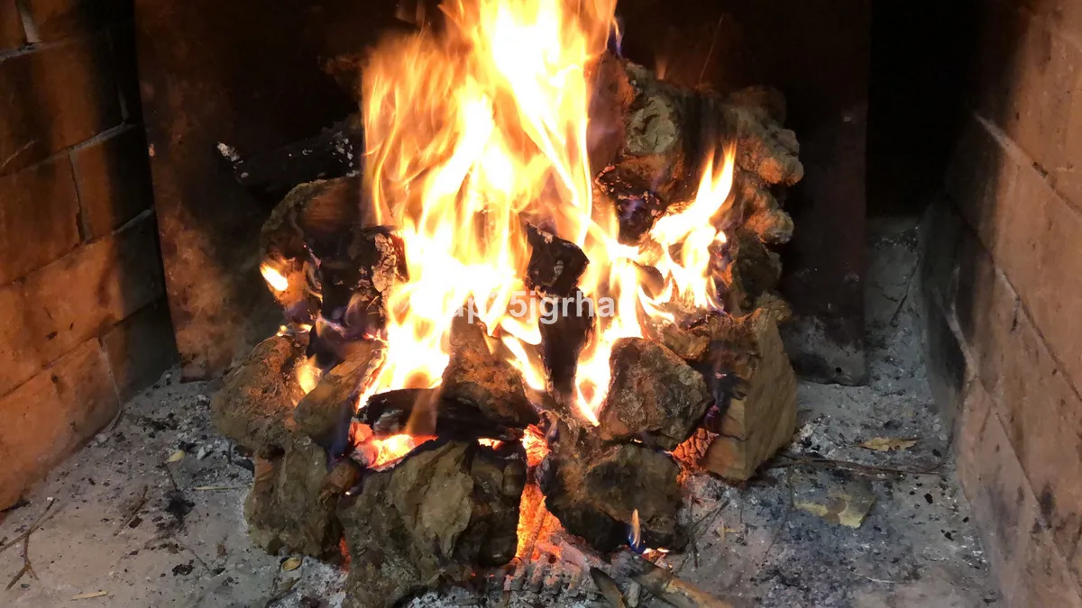 8534dda2-9966-4575-83b8-212fd4418539