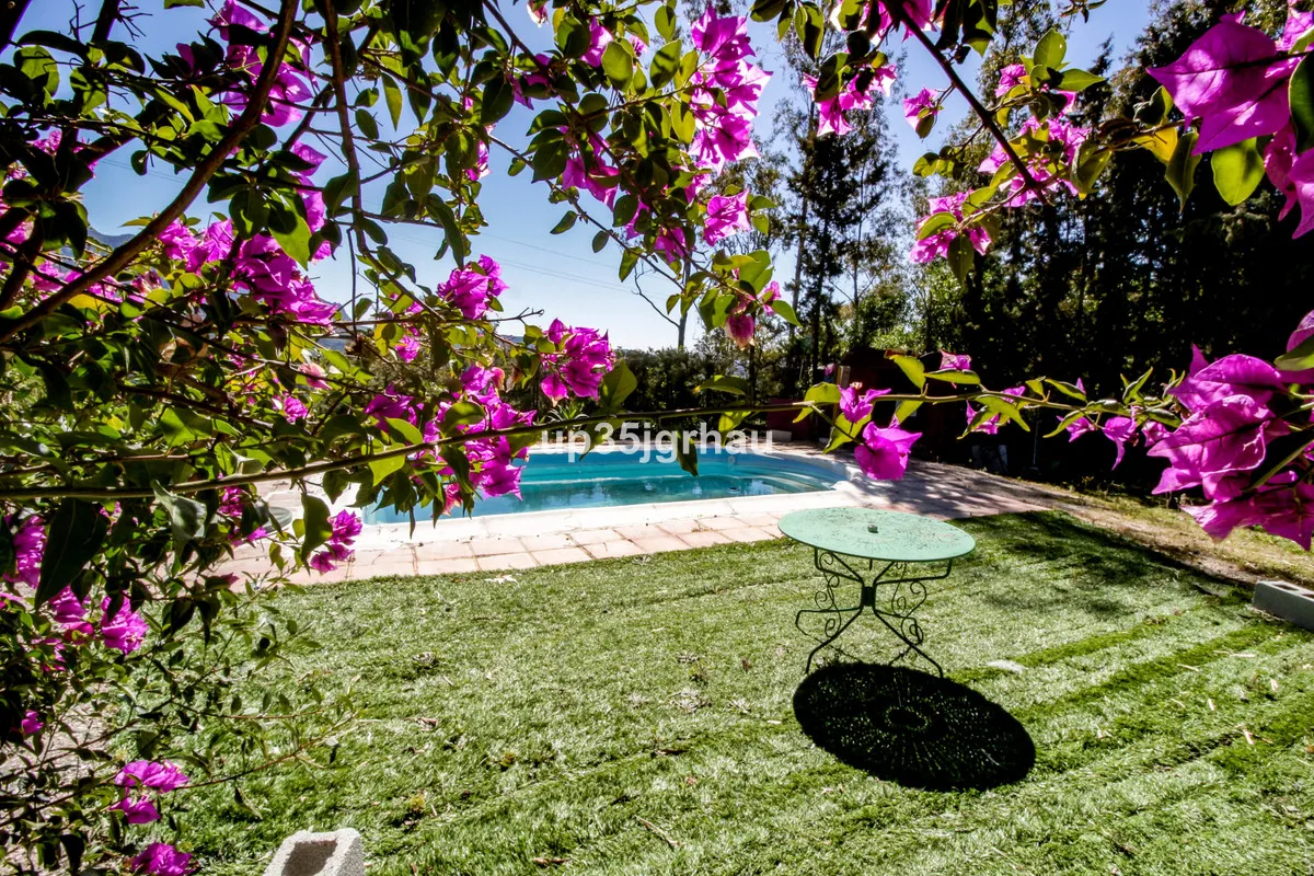 86119da9-6848-481c-a993-7976f8af6e58