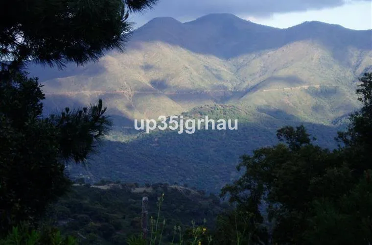 b36dc0a6-a4c7-4e15-a83f-3c391ffd5841