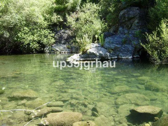 bfce55b8-668a-4d76-af50-999726494a01