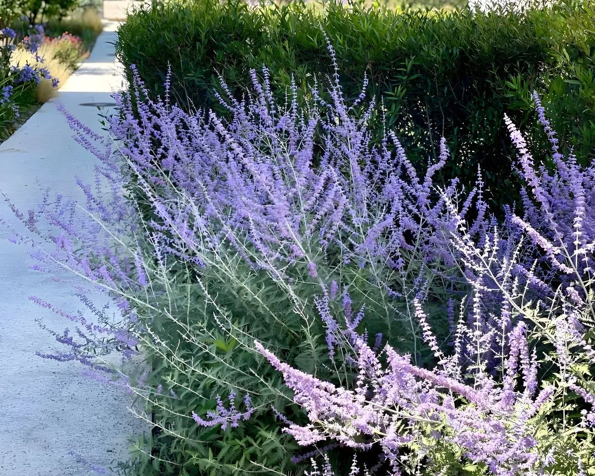 5ca8eb5d-00fd-4c25-b775-77b579db43cf