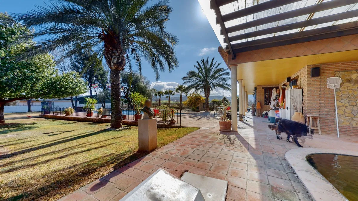 415ae76e-1477-4c8c-aa55-e2b77dfa5a9a