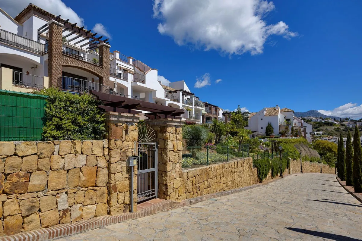 52556b01-1a87-4517-a338-3ae03c2c0fa7