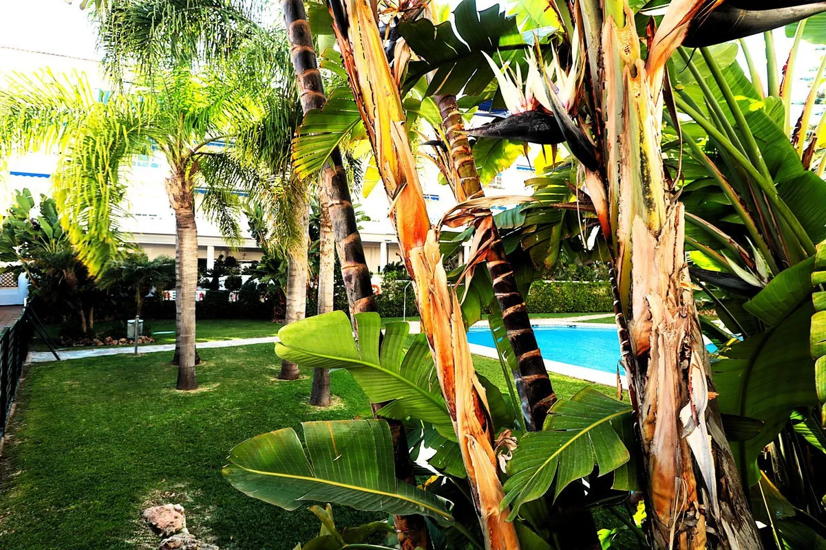 57e4e956-44b5-4789-b171-0f90c0d2e7df