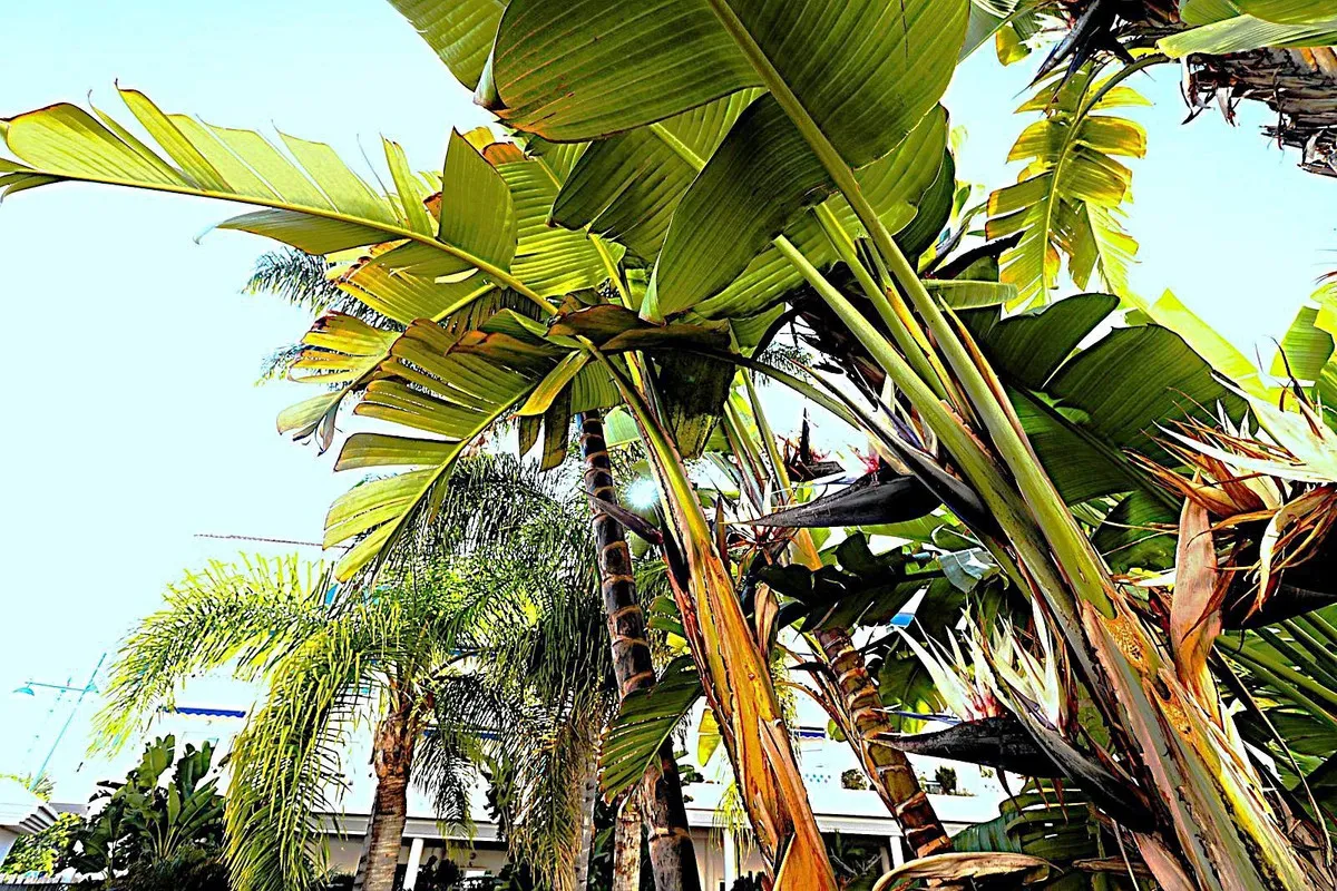 82dd9dd1-481f-49e5-a493-ce535666bbd2