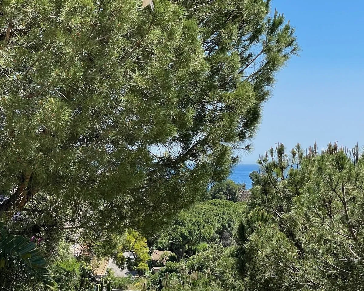 04635367-26cb-49de-a262-d7907891c6cd