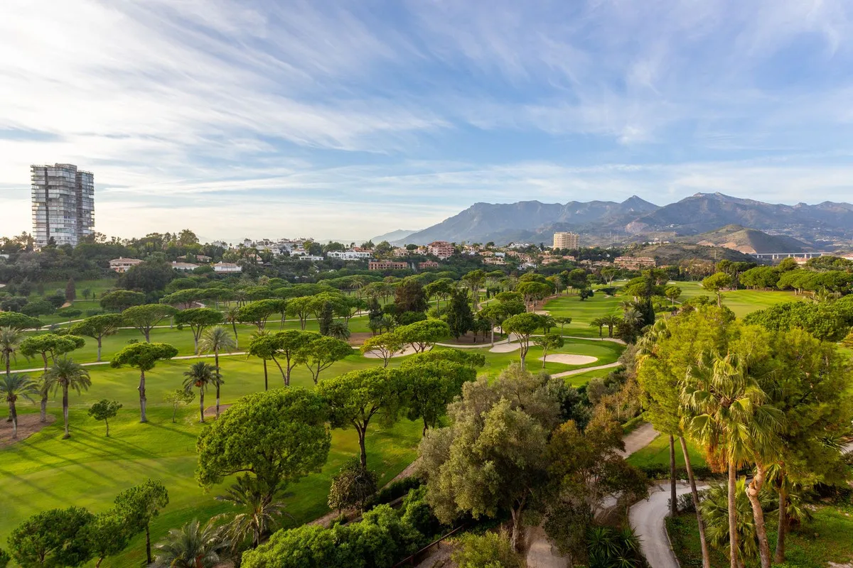 87e5c52d-f410-421f-86a4-3fa418ddf75d