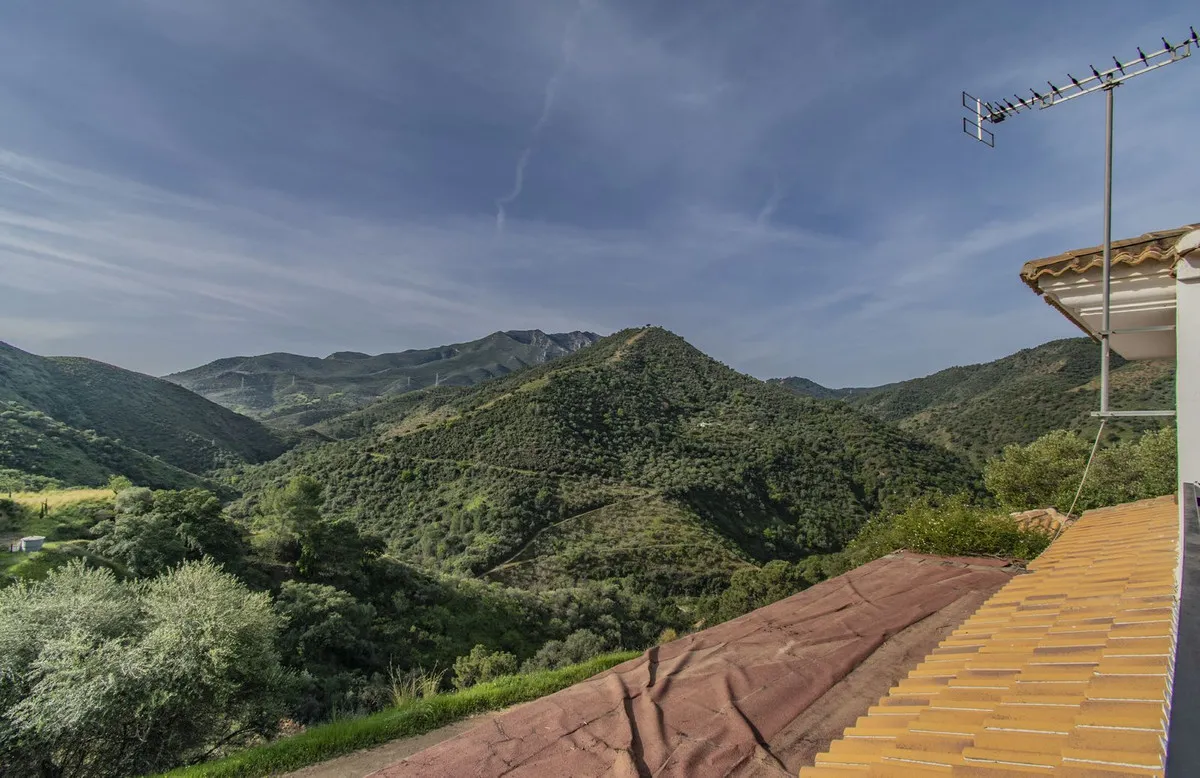 0cbf62f8-4a2a-4ed7-8c54-4e1d2258d9d7