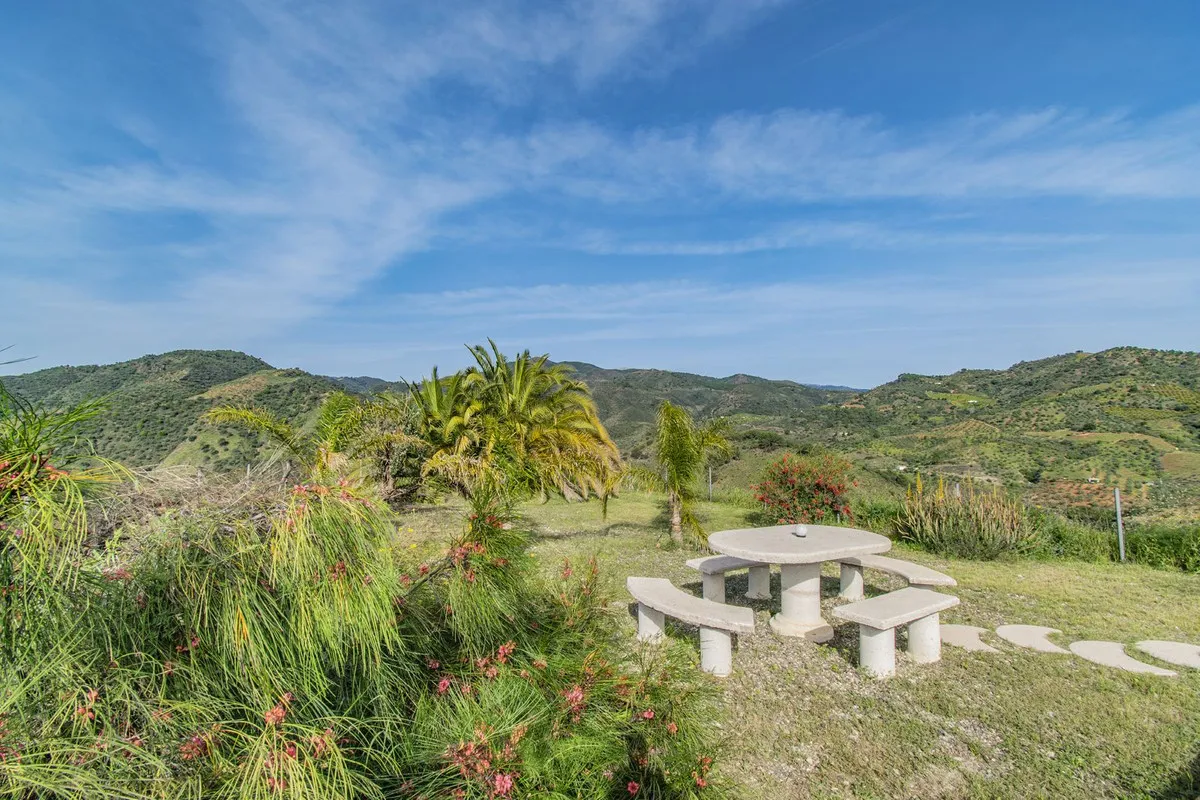 29e01d72-cc3d-481b-aa1b-a26b81faeb9c