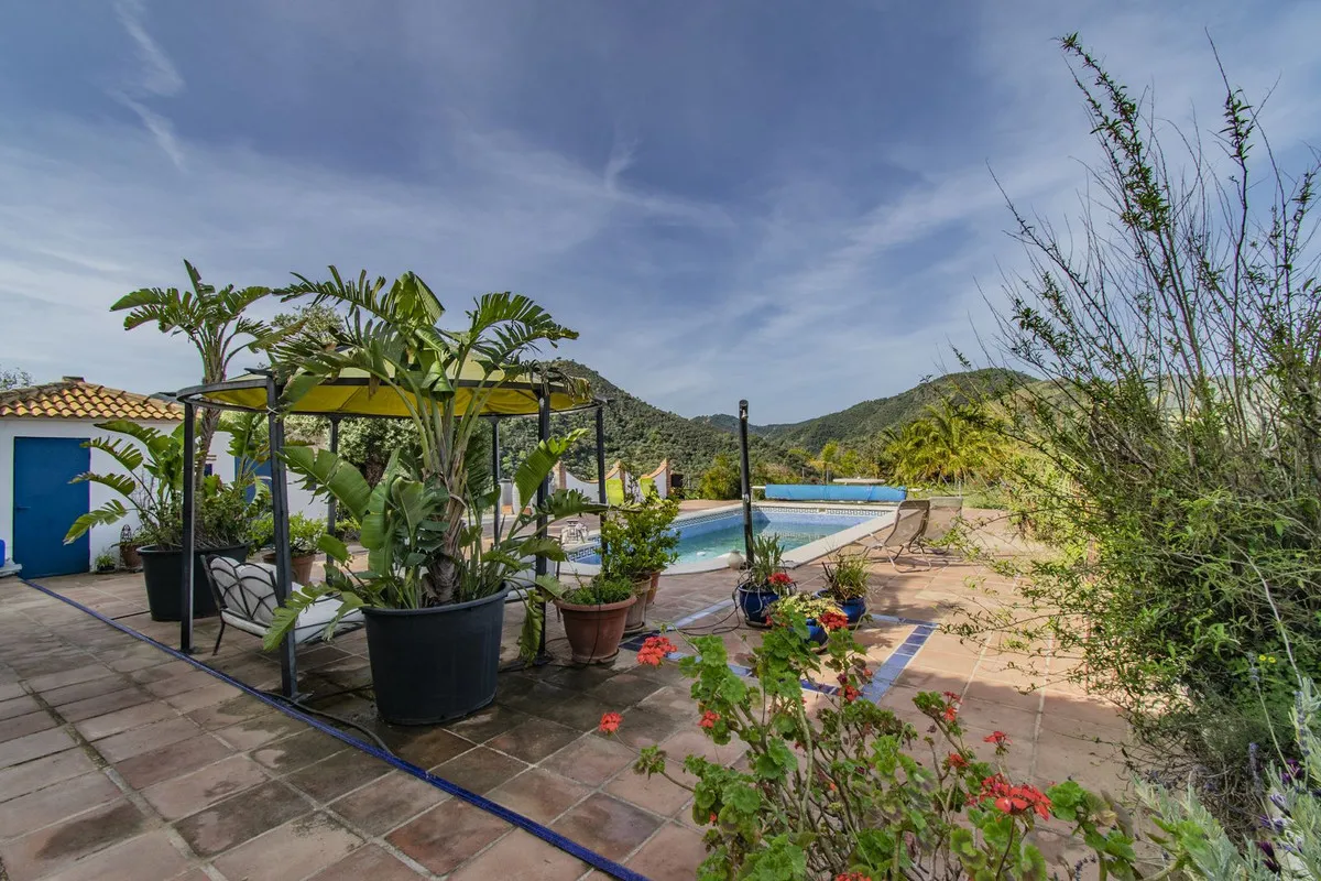 463a4653-6a2b-4fdc-bae6-08bafb3f013c