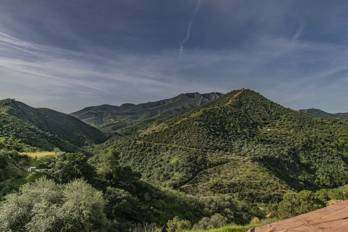 ad2f8665-e91a-4739-ae0e-09ecf5379b44