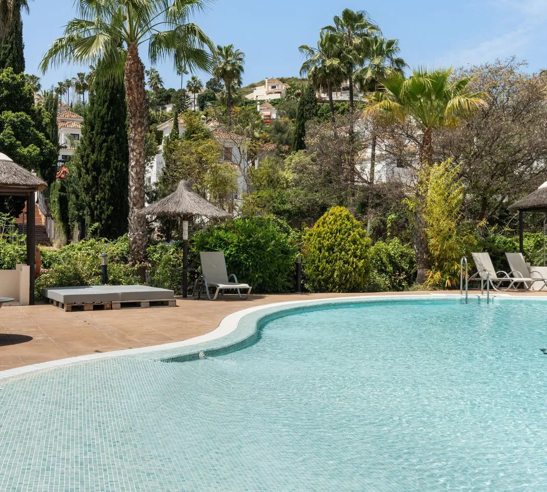 4d310a46-8d2f-4059-a026-f1f3cf979a9f