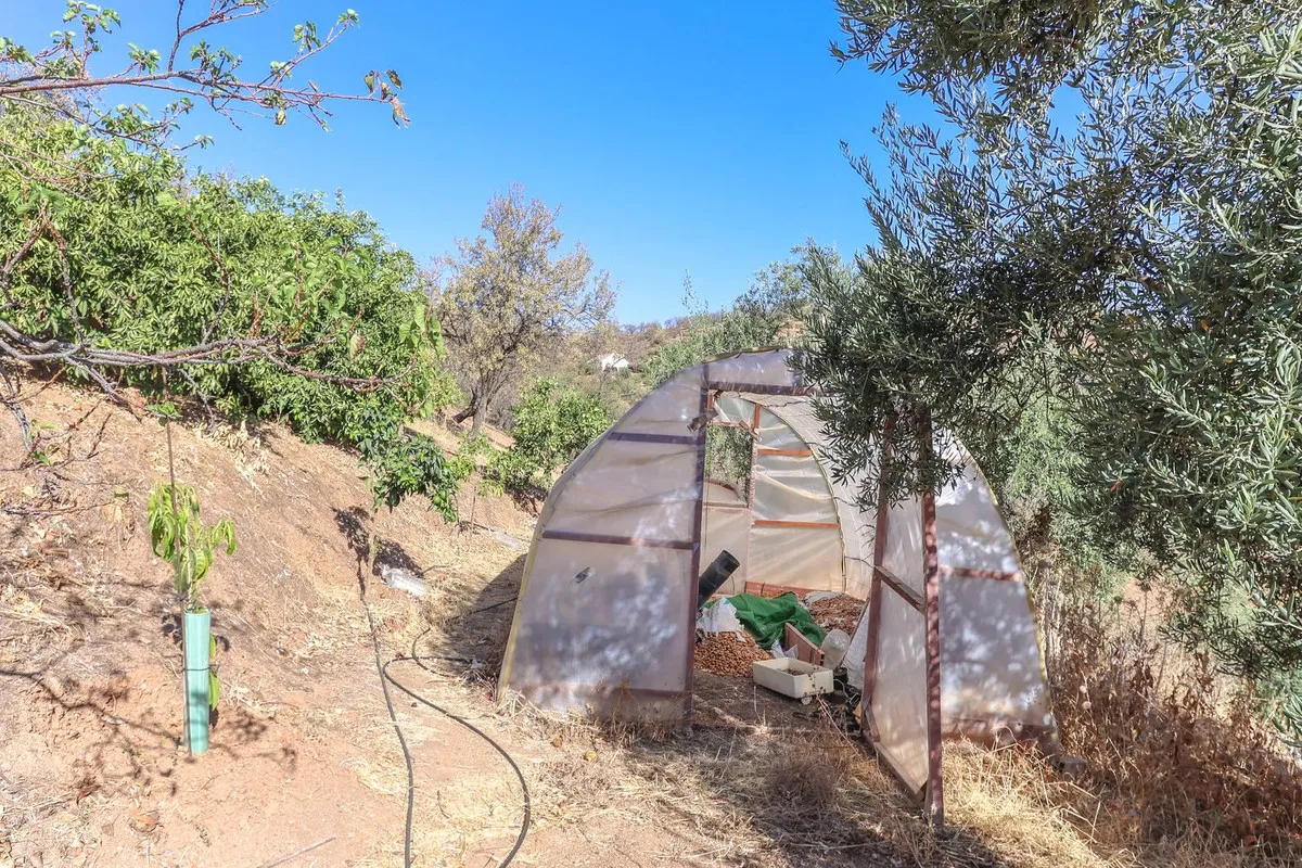 2c73a2fe-44d9-45ef-9e06-9a5031d9d75a