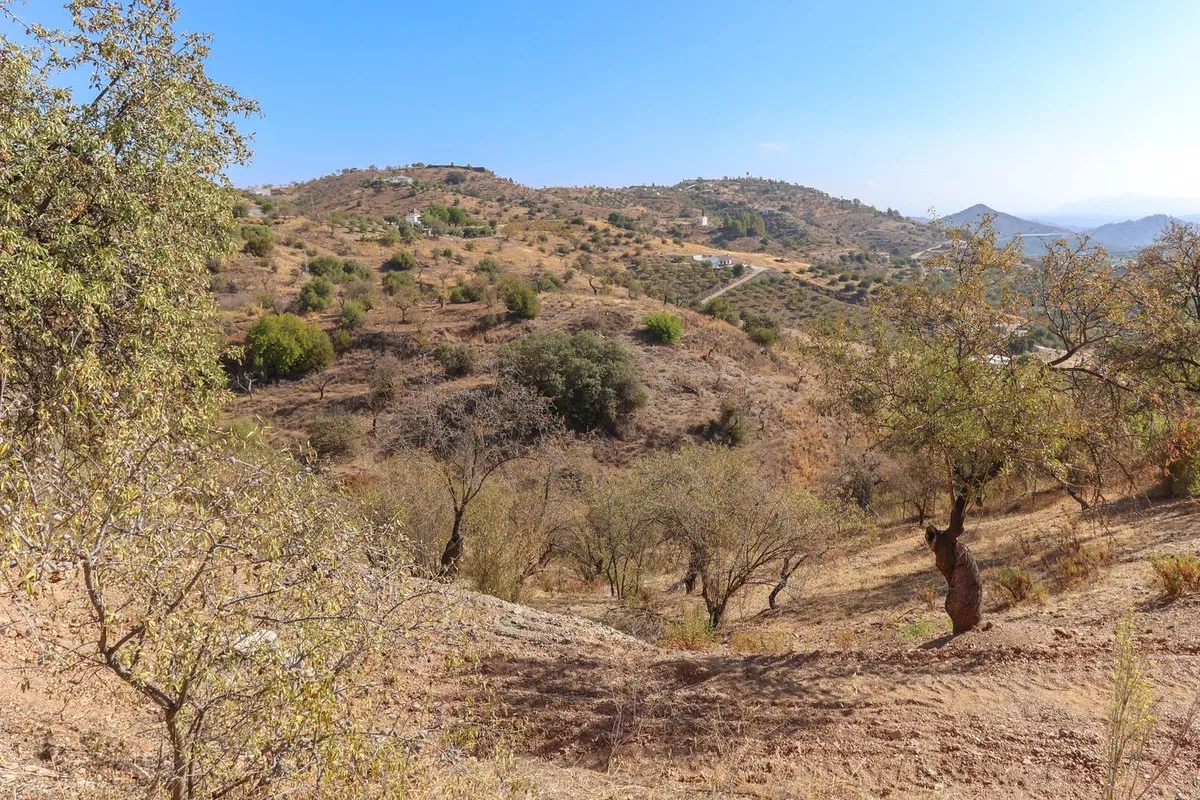 ea2c8cc8-39bb-4eb0-a43c-d68c2217c55c