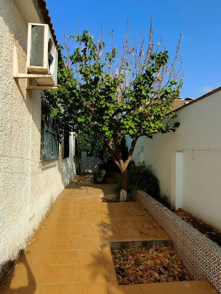 38ee5f4f-d029-4f2a-905a-a2b632654c06