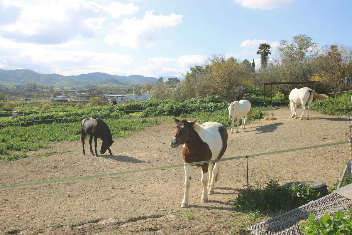 2536d67a-72db-4f08-8e93-8fc6f188696c