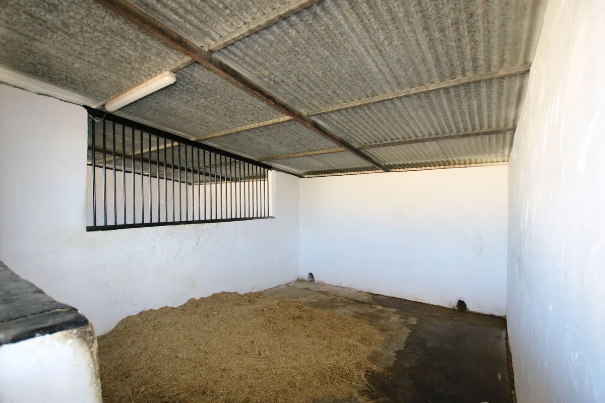 4a4af735-2596-4e25-a30e-bd8496da80cd