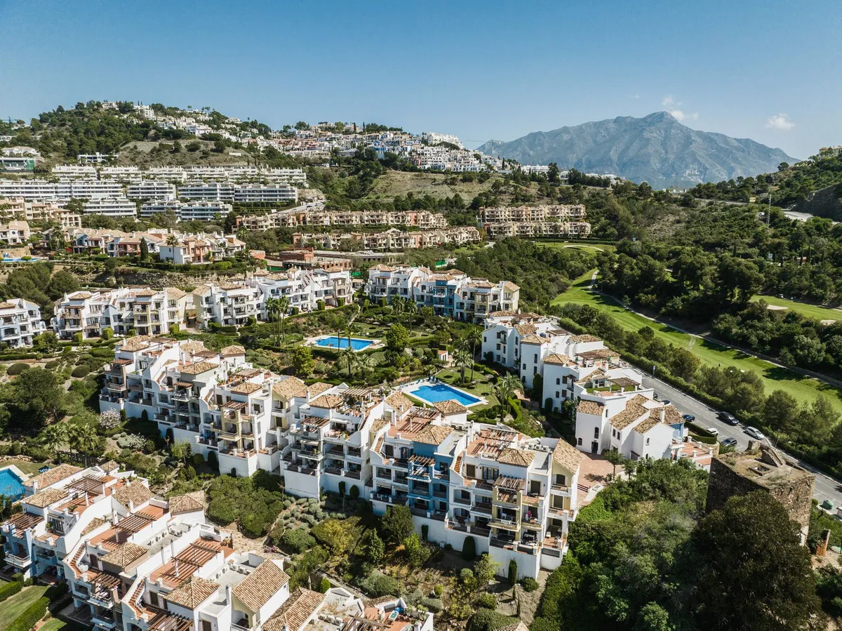 14154f31-b5ad-4d50-bdea-ca44322bfb63