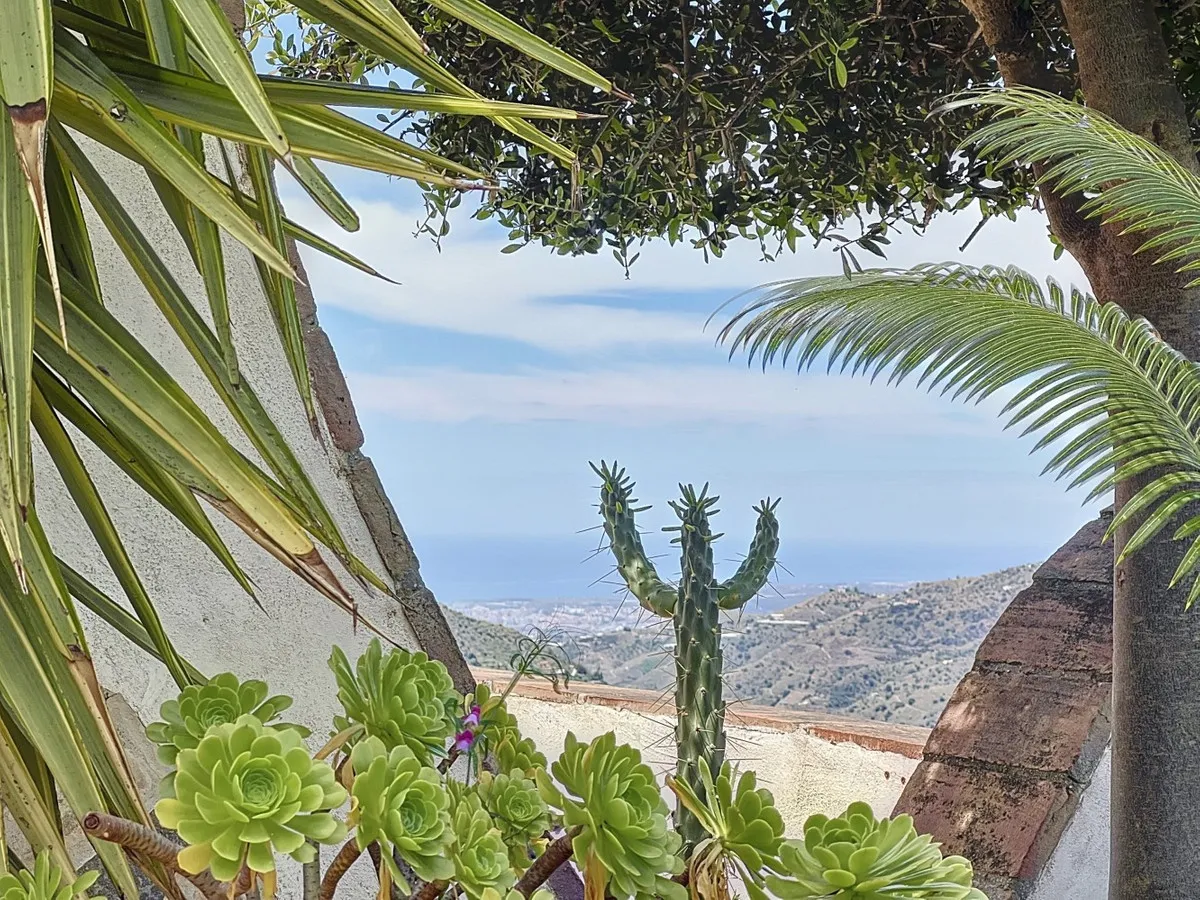 08298d39-f935-43c7-aa07-cd9885ba8a86