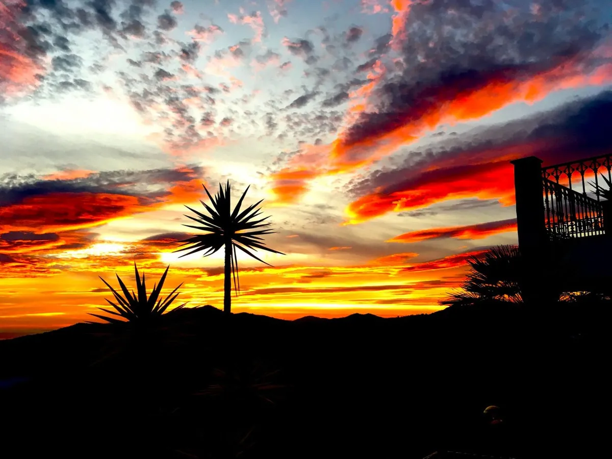 3a06c2b1-4e4d-4417-b002-e17956ea5ebc