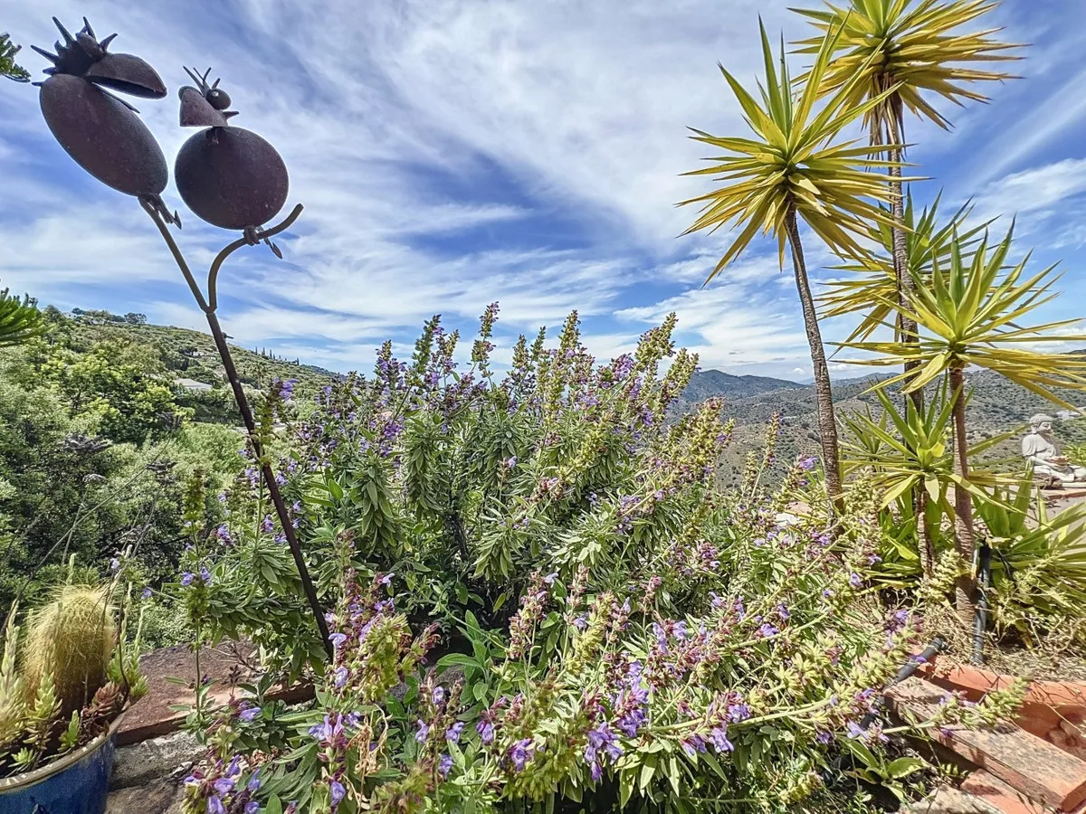 7bbf6e2a-2a0a-488d-bbe4-74e96b2dbc2a