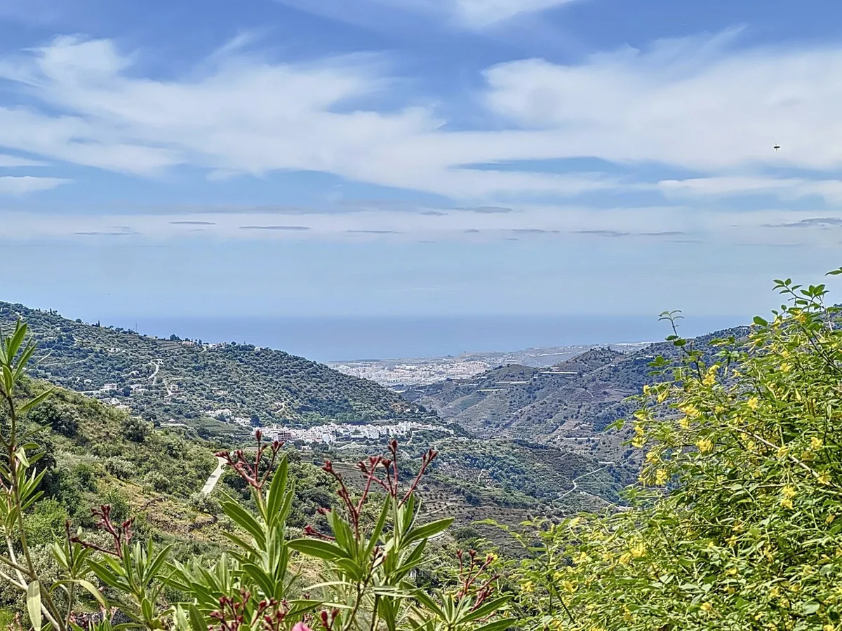 fc03a58b-e542-4cb6-bcd8-db73d1bfa7d7