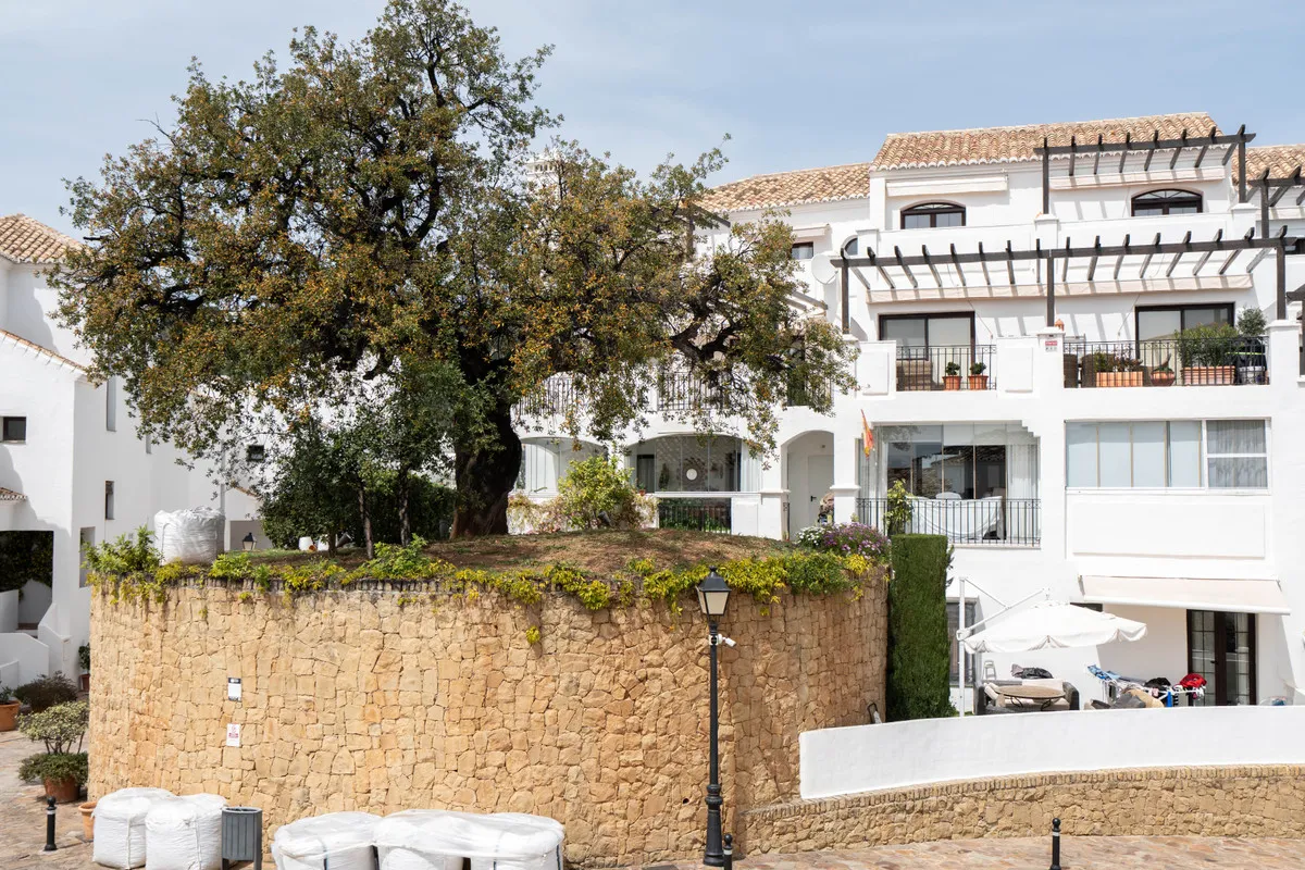 e159116c-06d4-4f46-b055-c7ca436fce18