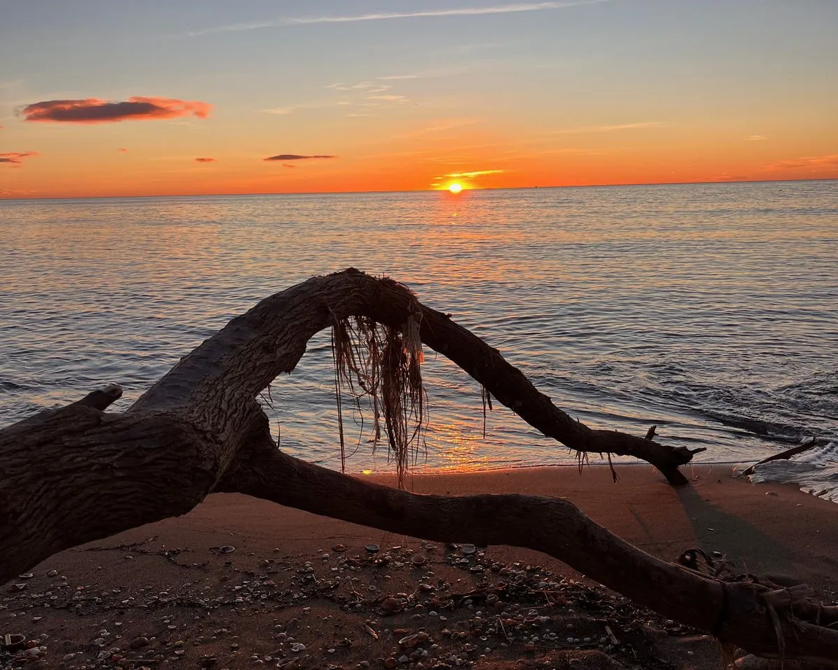 a4293ca5-b7ae-48c3-8d32-c385176110d3