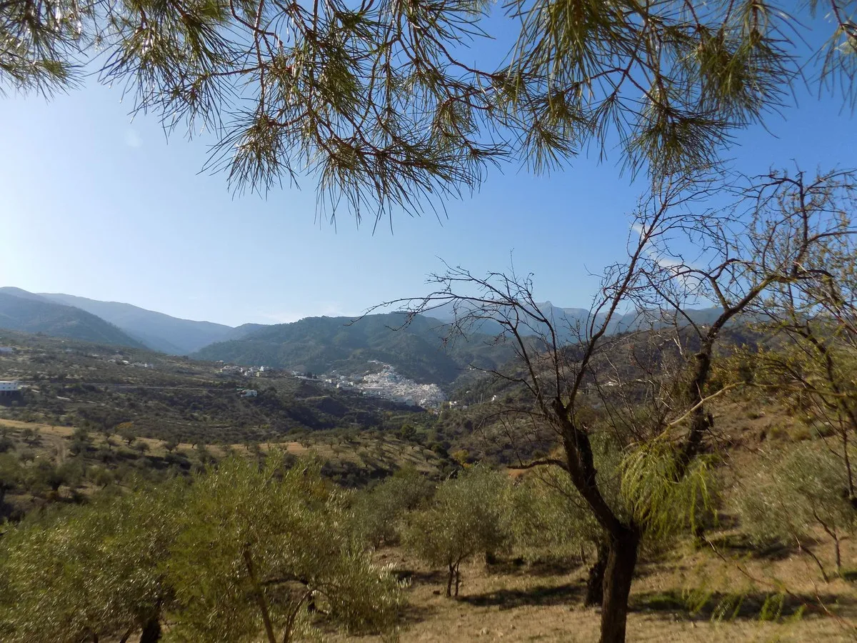 a7bc087e-abaa-43bc-942f-1bec9fad1212