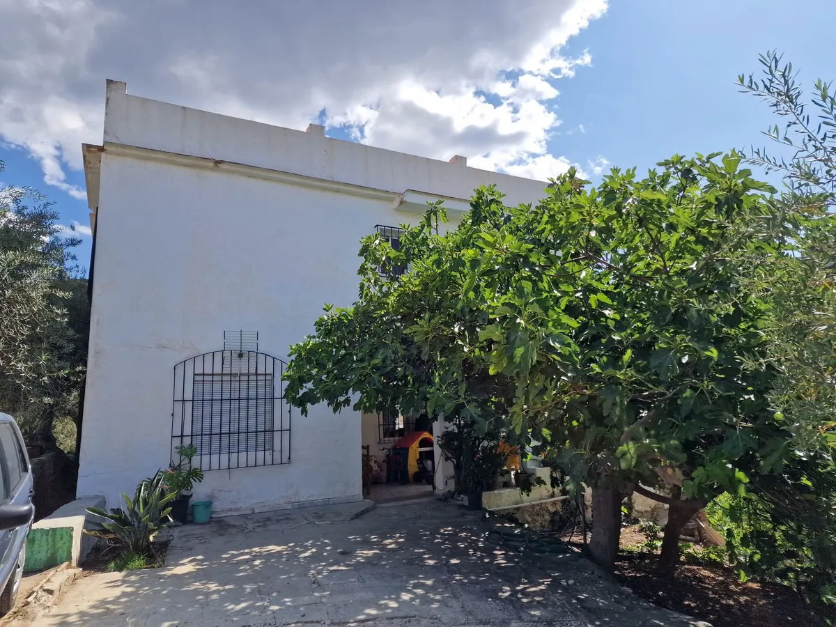 e0e901a2-744a-48d8-86a5-7ab3c5669389