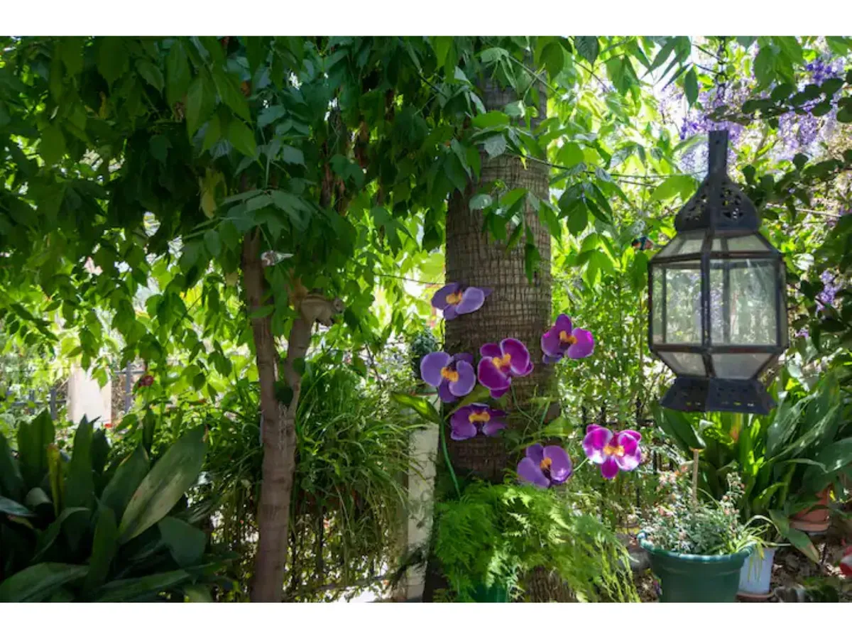 87aba9ff-1d77-4b6d-a4bd-e9679f461600