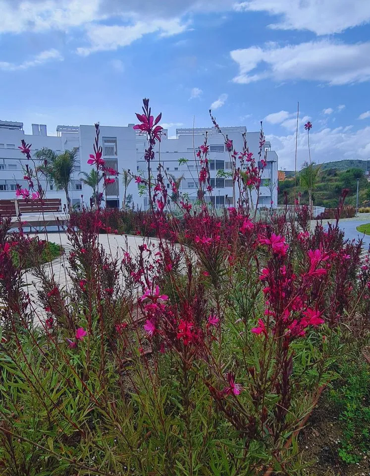 96bddce5-2fde-46d7-b2e0-3737456b4011