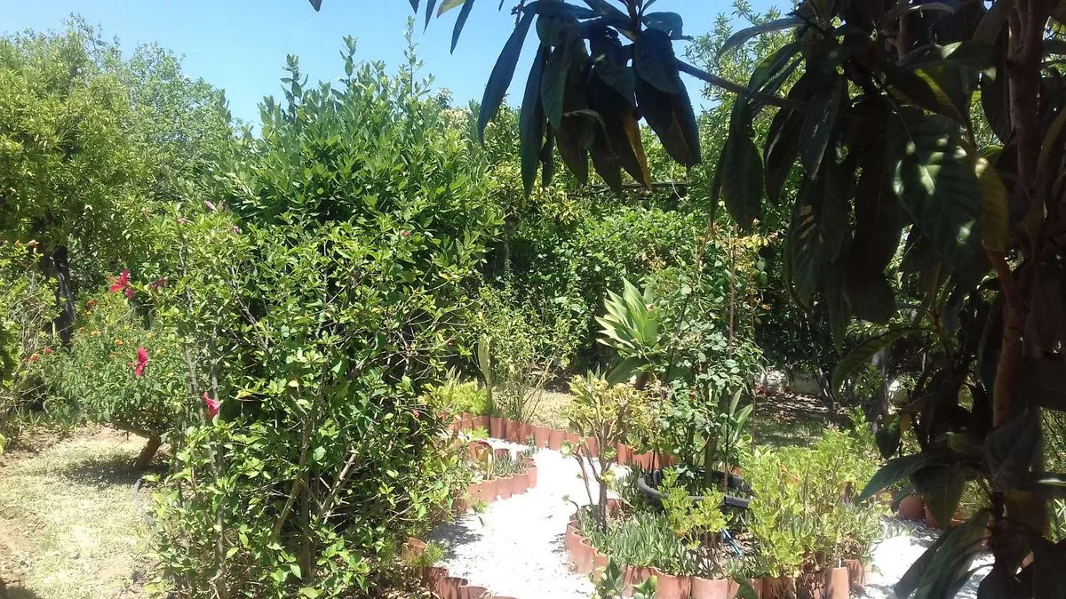 6f2cdc5e-560b-40a9-becb-972c1d030849