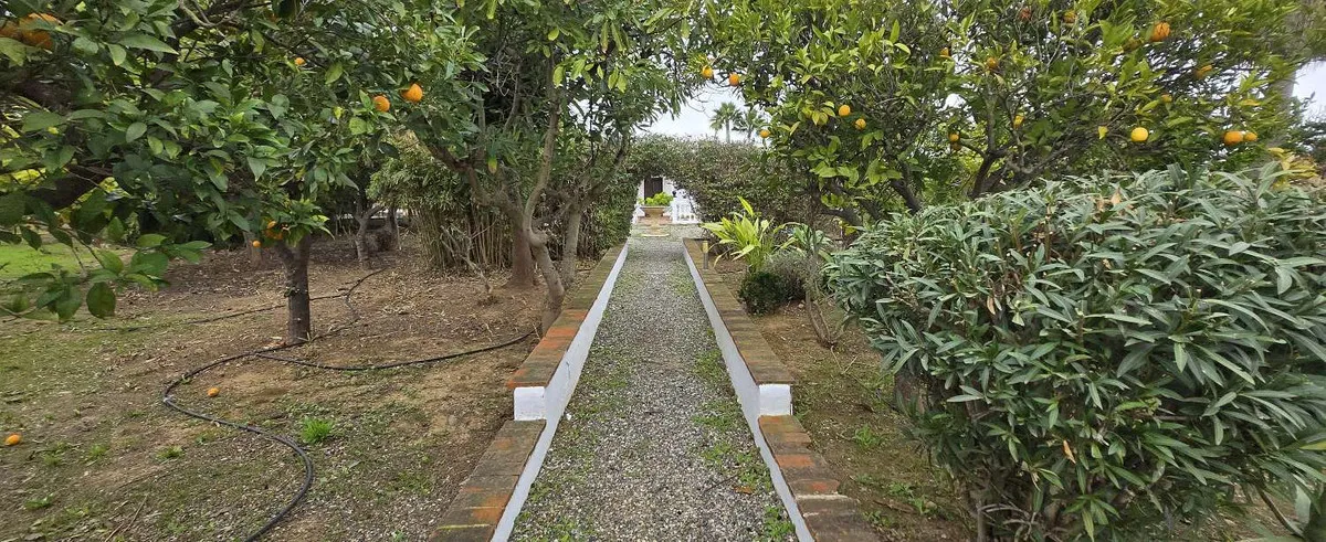 daeb8b5f-ec86-4731-a469-6b934cb5667b