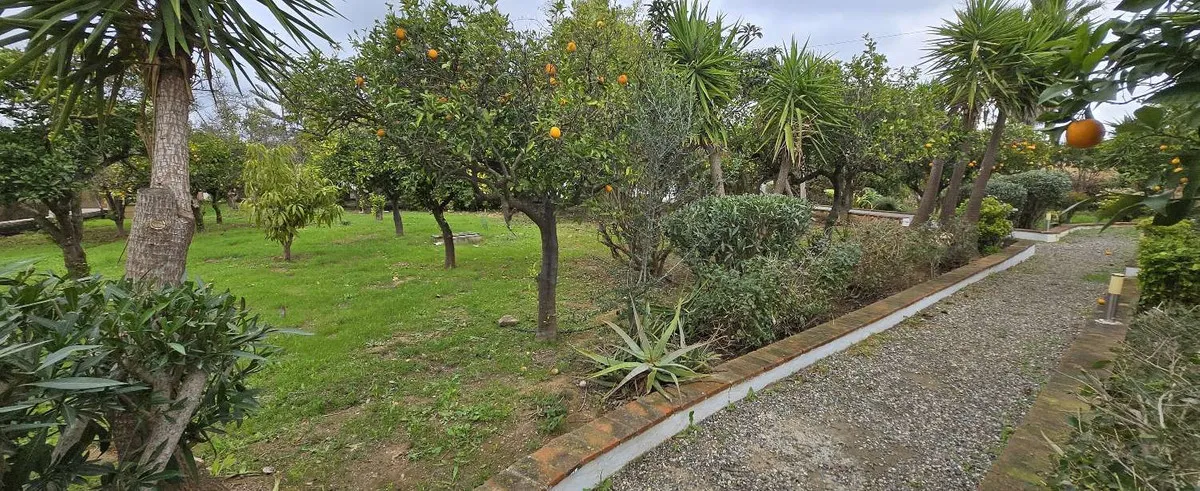 f4987c34-b76b-4f94-98ca-c183c8df0b30