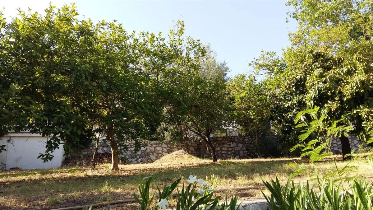 4110014e-9062-4988-b83e-10766a2faff8